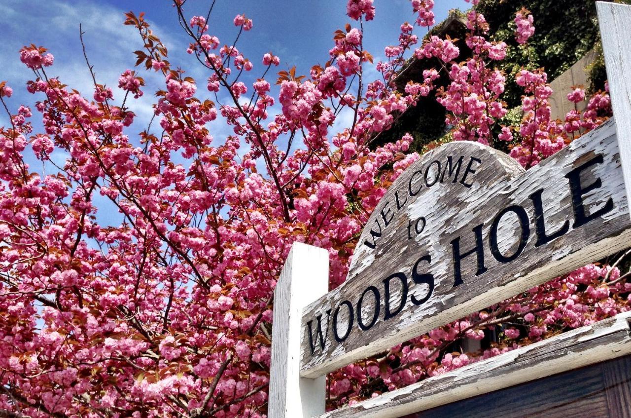 Treehouse Lodge Woods Hole Exterior foto
